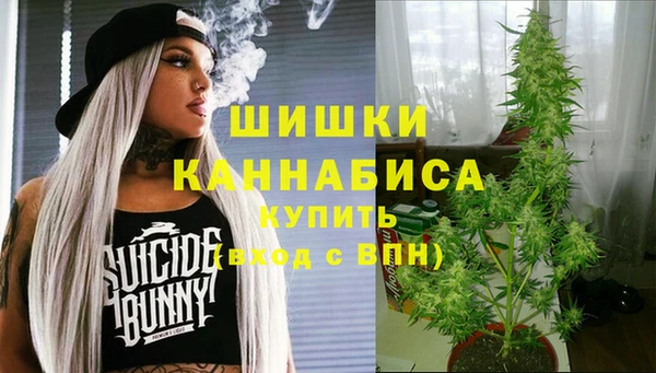 apvp Алзамай