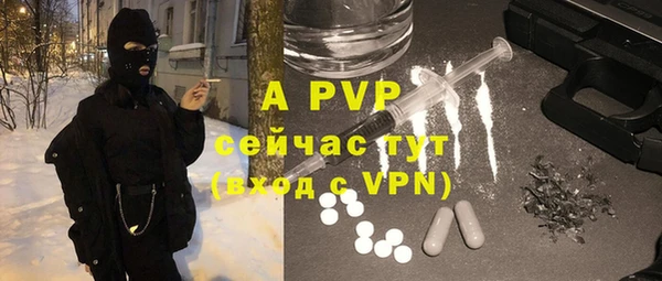 apvp Алзамай